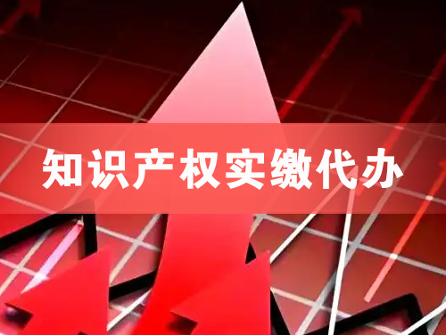 常州知识产权实缴资本代办